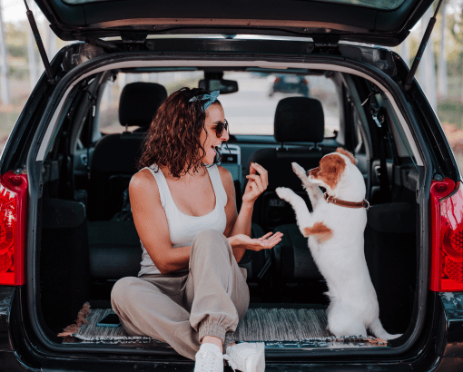 Woman in Car with Dog